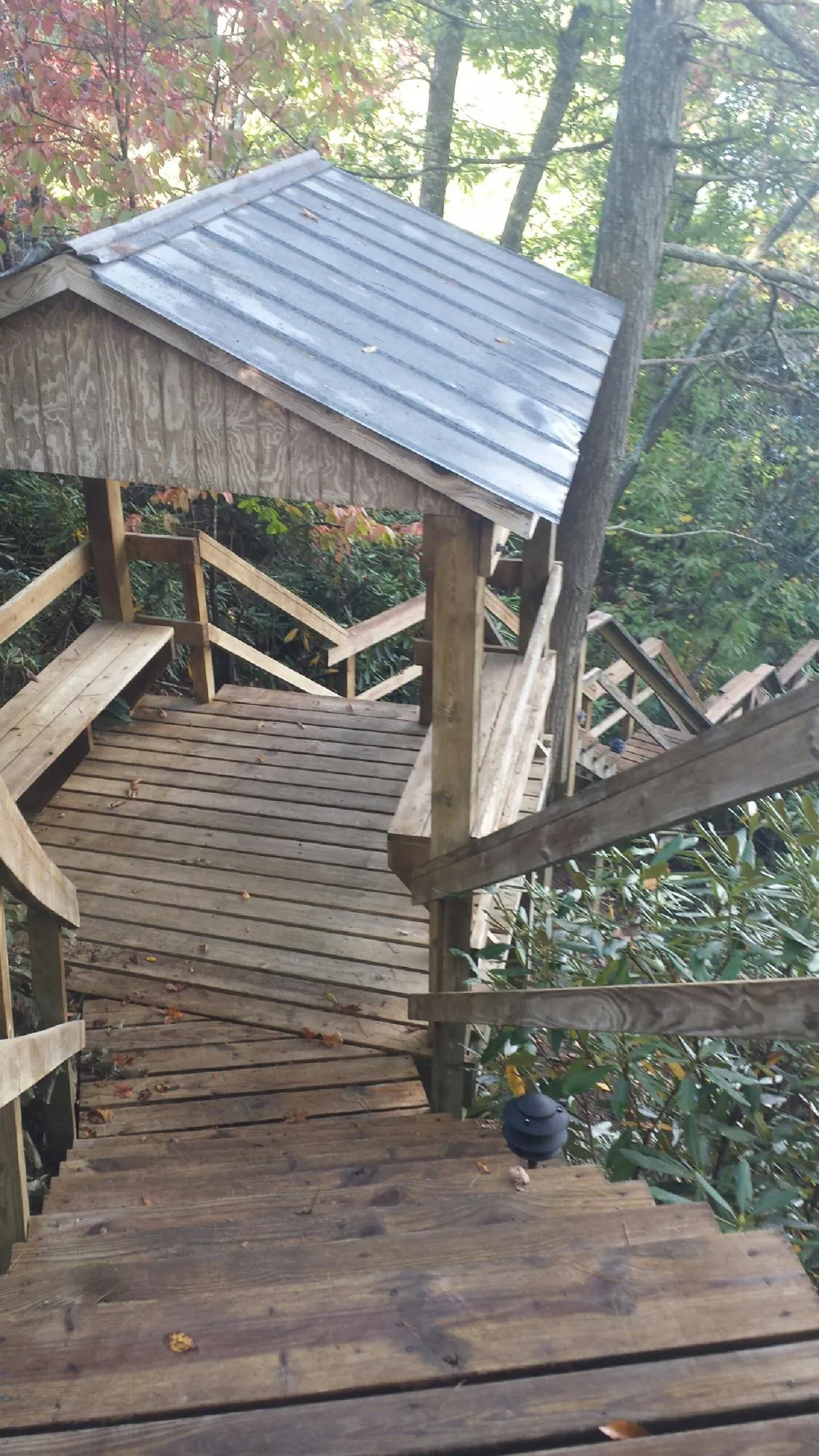 Metal roofed shelter over wooden steps on a wooded walkway — Skylight Repair & Installation work by our crew in Dunbar